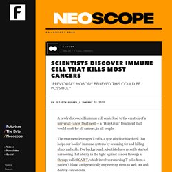 Scientists Discover Immune Cell That Kills Most Cancers