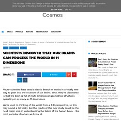 Scientists Discover That Our Brains Can Process The World In 11 Dimensions - Cosmos