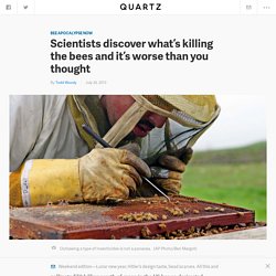 Scientists discover what’s killing the bees