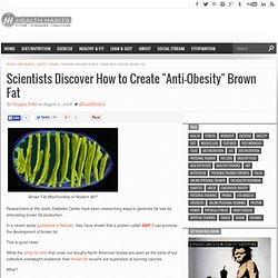 Scientists Discover How to Create "Anti-Obesity" Brown Fat
