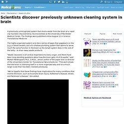 Scientists discover previously unknown cleaning system in brain