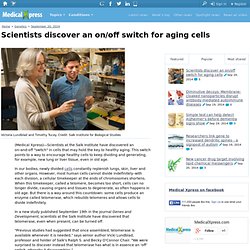 Scientists discover an on/off switch for aging cells