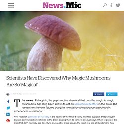 Scientists Have Discovered Why Magic Mushrooms Are So 'Magical'