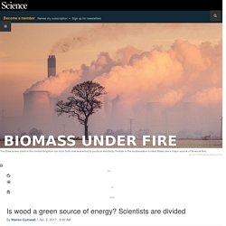 Is wood a green source of energy? Scientists are divided