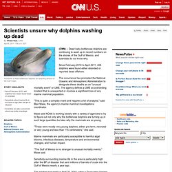 Scientists unsure why dolphins washing up dead