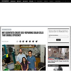 Self-Repairing Solar Cells