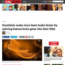 Raw Story » Scientists make mice learn tasks faster by splicing human brain gene into their DNA