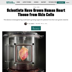 Scientists Have Grown Human Heart Tissue from Skin Cells