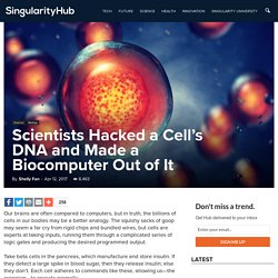 Scientists Hacked a Cell's DNA and Made a Biocomputer Out of It