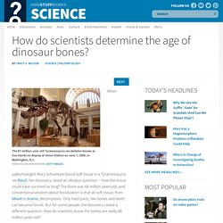 How do scientists determine the age of dinosaur bones?