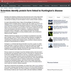 Scientists identify protein form linked to Huntington's disease