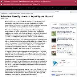 Scientists identify potential key to Lyme disease