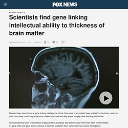 Scientists find gene linking intellectual ability to thickness of brain matter