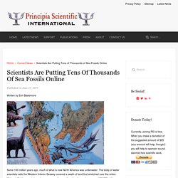 Scientists Are Putting Tens of Thousands of Sea Fossils Online