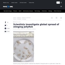 PHYS_ORG 24/05/19 Scientists investigate global spread of stinging jellyfish