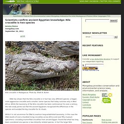 Scientists confirm ancient Egyptian knowledge: Nile crocodile is two species