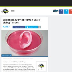 Scientists 3D Print Human-Scale, Living Tissues