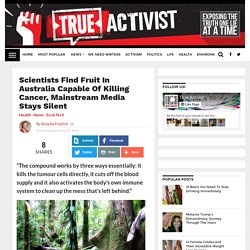 Scientists Find Fruit In Australia Capable Of Killing Cancer, Mainstream Media Stays Silent