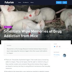 Scientists Wipe Memories of Drug Addiction from Mice - Futurism