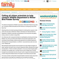 Calling all citizen scientists to help conduct Wildlife Department’s Winter Bird Feeder Survey - MetroFamily Magazine - December 2011 - Oklahoma City, OK