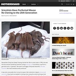 Scientists Have Perfected Mouse Re-Cloning to the 25th Generation