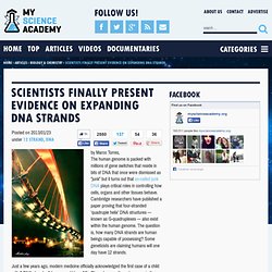 Scientists Finally Present Evidence on Expanding DNA Strands