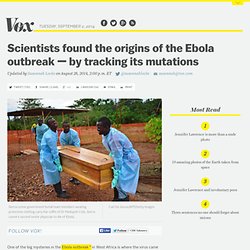 Scientists found the origins of the Ebola outbreak — by tracking its mutations