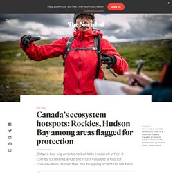 Scientists flag Rocky Mountains, Hudson Bay as hotspots for protection