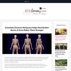 Scientists Discover Marijuana Helps Heal Broken Bones, & Even Makes Them Stronger – REALfarmacy.com