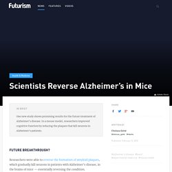 Scientists Reverse Alzheimer's in Mice