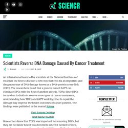 Scientists reverse DNA damage caused by cancer treatment