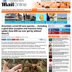 Scientists unveil 20 new species ...but with a blue scorpion, and a tarantula the size of a hand, couldn't we have got by without knowing?