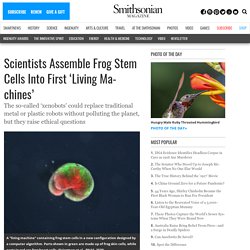 Scientists Assemble Frog Stem Cells Into First 'Living Machines'