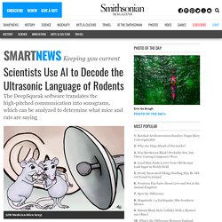 Scientists Use AI to Decode the Ultrasonic Language of Rodents