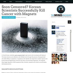 Soon Censored? Korean Scientists Successfully Kill Cancer with Magnets