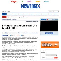Scientists Switch Off Brain Cell Death in Mice