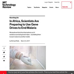 In Africa, Scientists Are Preparing to Use Gene Drives to End Malaria - MIT Technology Review
