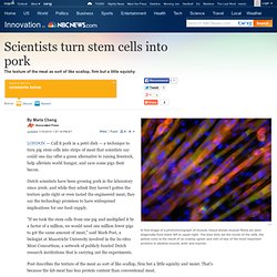 Scientists turn stem cells into pork - Technology & science - Innovation