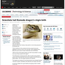 Scientists hail Komodo dragon's virgin birth
