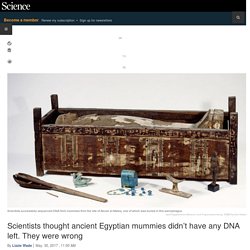 Scientists thought ancient Egyptian mummies didn’t have any DNA left. They were wrong