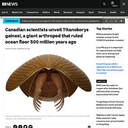 Canadian scientists unveil Titanokorys gainesi, a giant arthropod that ruled ocean floor 500 million years ago