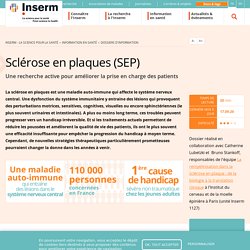 Sclérose en plaques (SEP)
