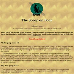Scoop on Poop
