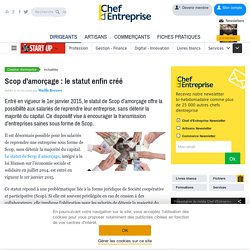 Scop d'amorçage : le statut enfin créé