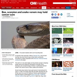 Bee, scorpion and snake venom may hold cancer cure