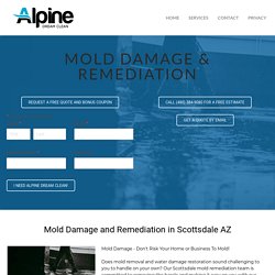 Scottsdale Mold Remediation