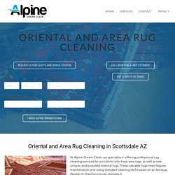 Scottsdale AZ Area and Oriental Rug Cleaning