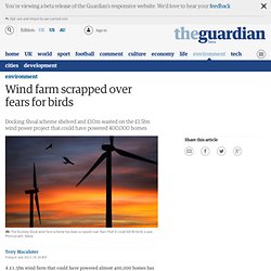 Wind farm scrapped over fears for birds