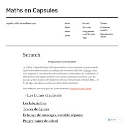 Maths en capsules