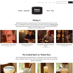 Small Screen™ Cocktail Recipes, Bartending and Mixology and Cooking Videos